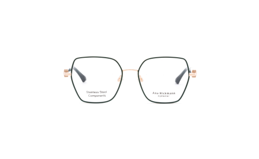 ANA HICKMANN 1551 c.04B