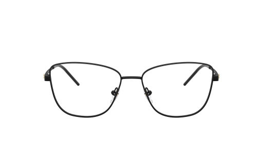 EMPORIO ARMANI 1172 c.3001/55