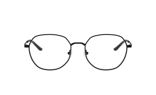 EMPORIO ARMANI 1174D c.3001/54