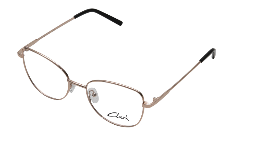 CLARK 1469 c.2 