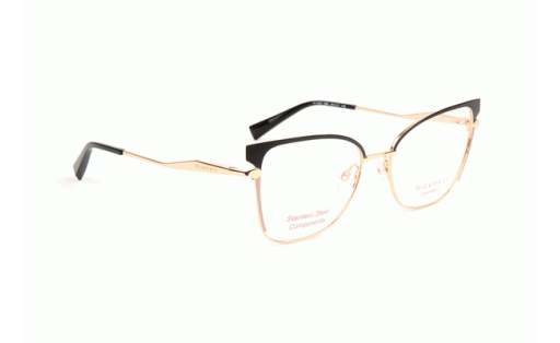 ANA HICKMANN 1253 c.09A