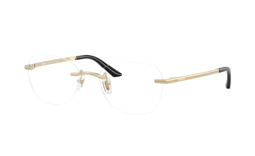 VERSACE 1314D c.1252/55