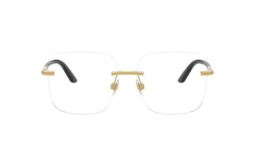 DOLCE & GABBANA 1360 c.02/57