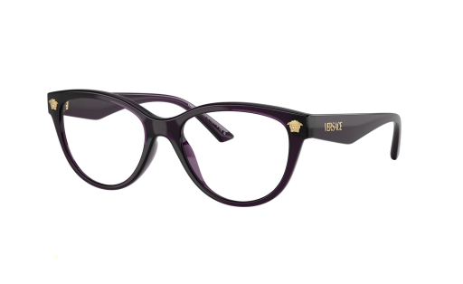 VERSACE 3365U c.5263/54
