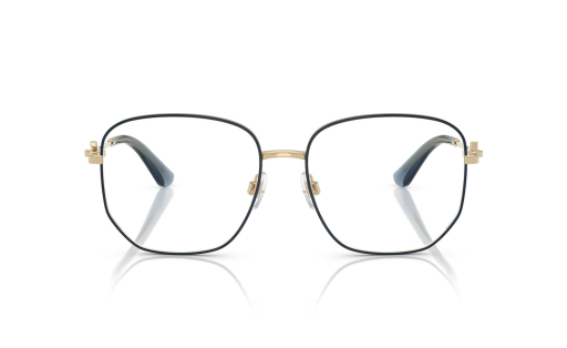 DOLCE & GABBANA 1356 c.488/55