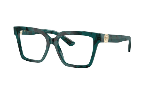 DOLCE & GABBANA 3395 c.3460/53