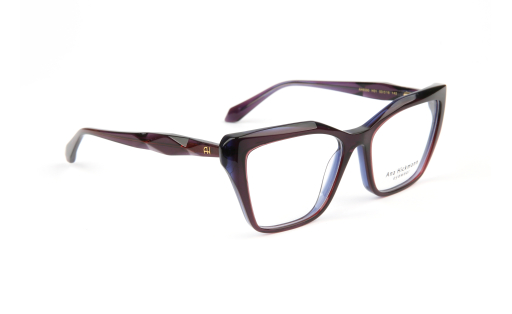 ANA HICKMANN 6590 c.H01