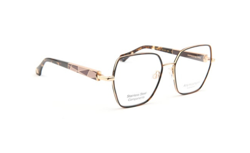 ANA HICKMANN 1551 c.G21