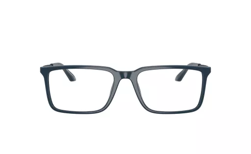 ARMANI AX 3141U c.8406/54
