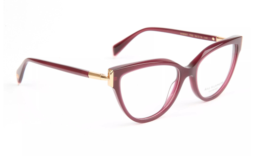 ANA HICKMANN 6567 c.T02