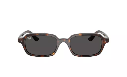RAY BAN 4455 c.135987/52