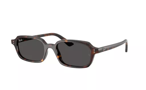 RAY BAN 4455 c.135987/52