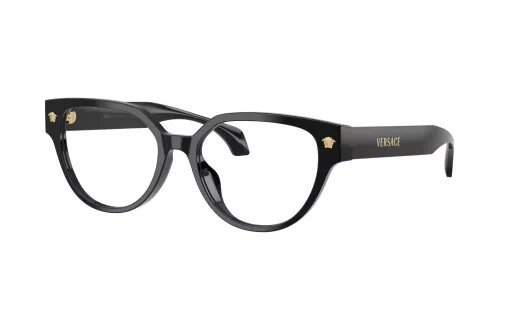 VERSACE 3394D c.GB1/53