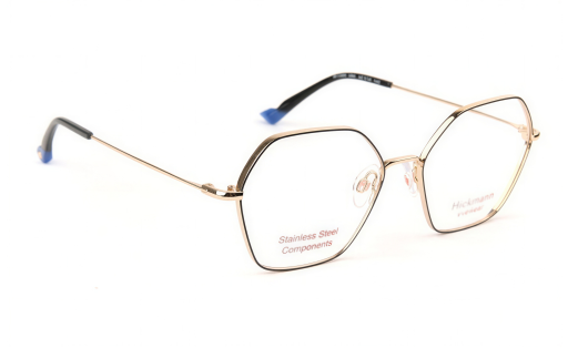 ANA HICKMANN 1289 c.09A